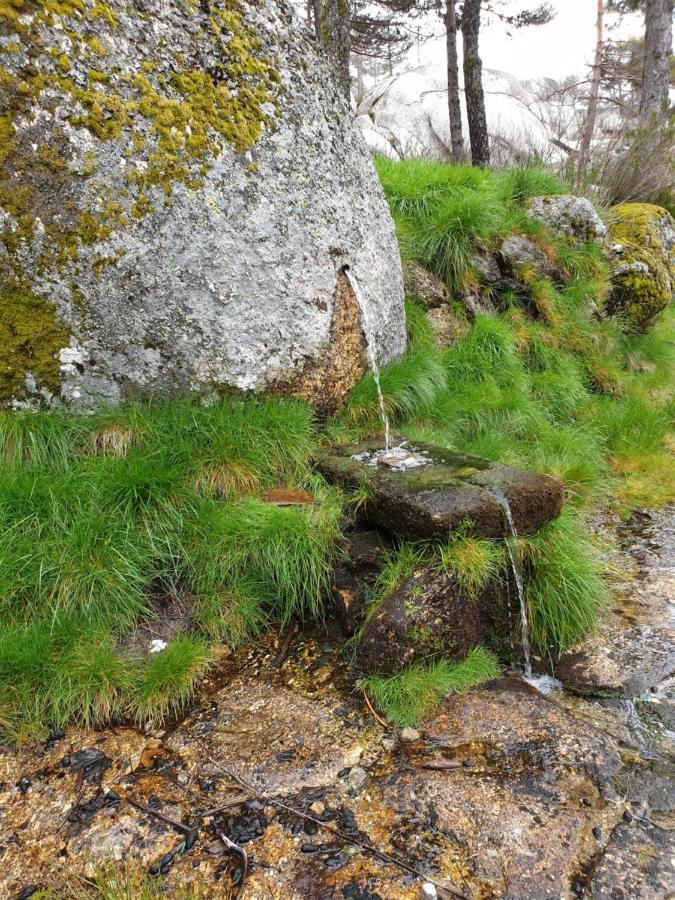 Casa Dos Cisnes - Serra Da Estrela - Sao Paio - Gouveia - Portugal Exteriör bild